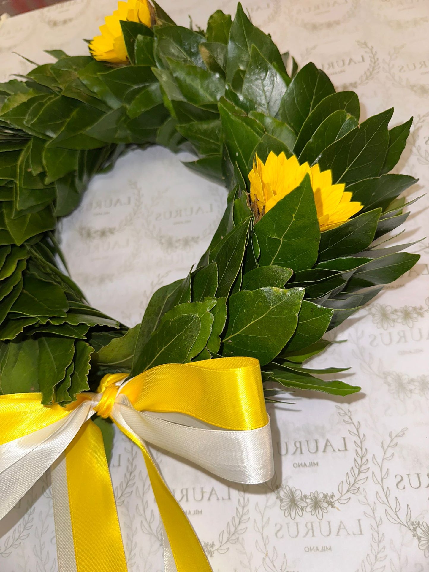 Corona d'Alloro - Girasoli stabilizzati