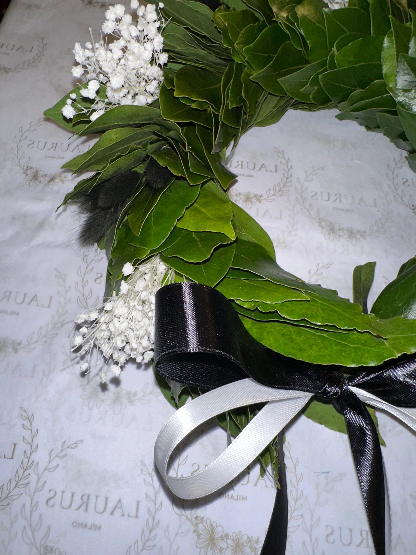 Corona d'Alloro - Gypsophila bianca e Pampas neri