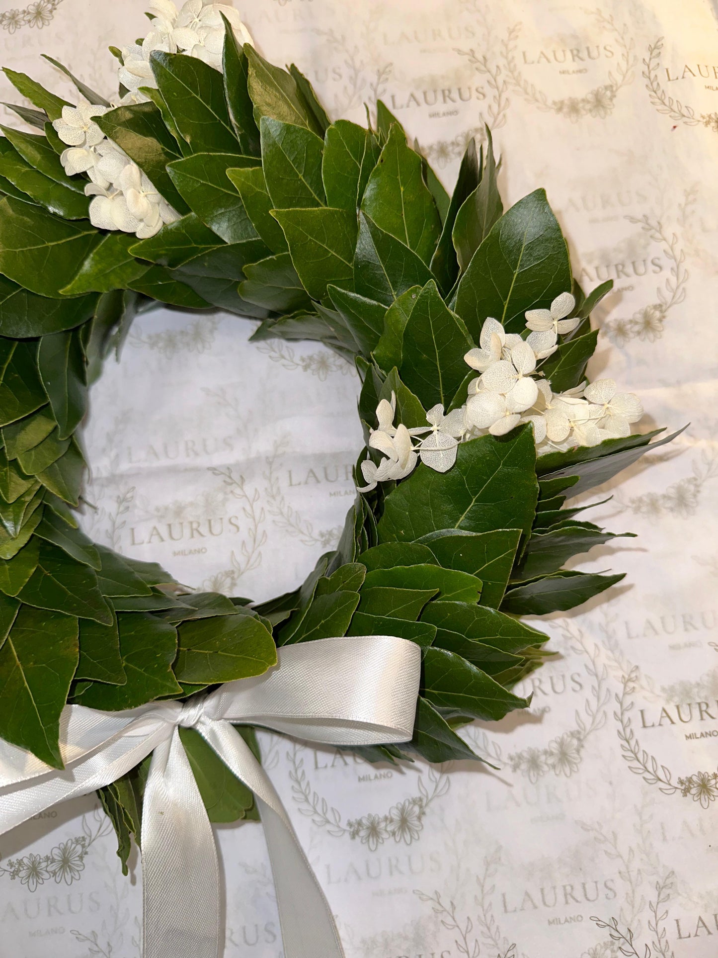Corona d'Alloro - Ortensia bianca