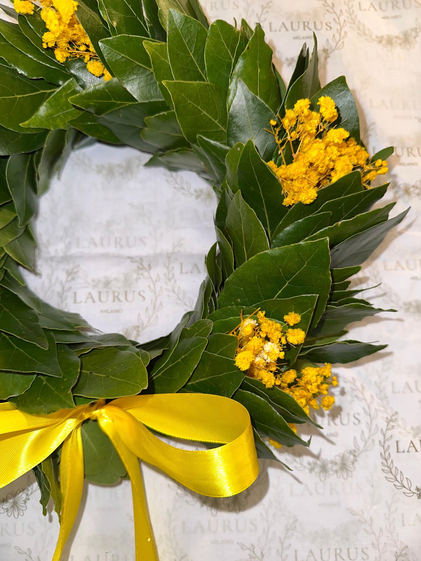 Corona d'Alloro - Gypsophila gialla