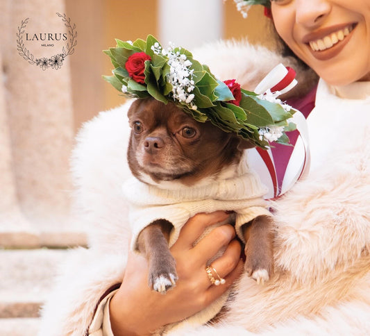 Corona d'Alloro - Coroncina per Cagnolino Cane